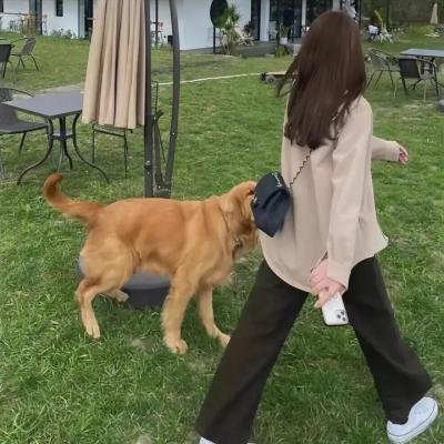 吊带袜天使